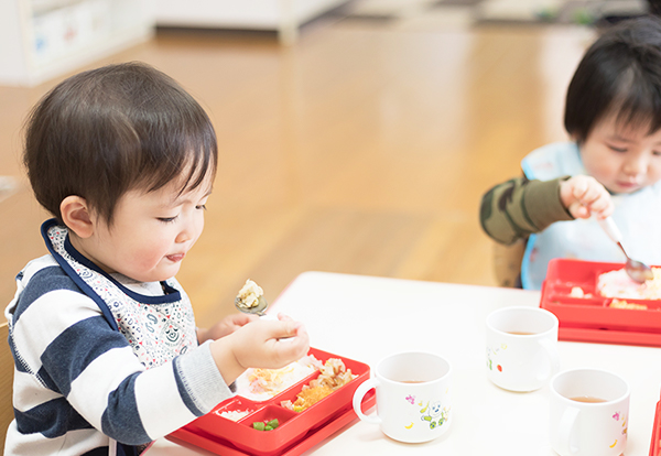 給食